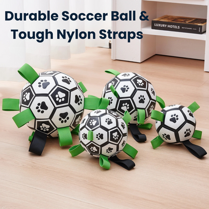Pawsjoy Viral Doggie Ball