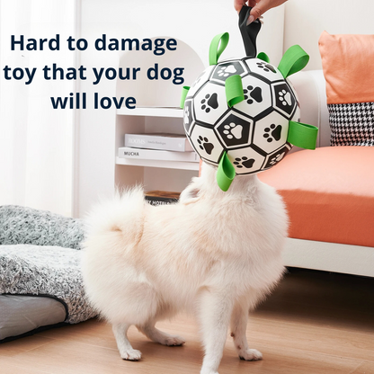 Pawsjoy Viral Doggie Ball
