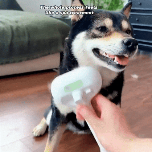 SteamPup™ Dog Brush | Steam Powered Slicker Brush for Dogs