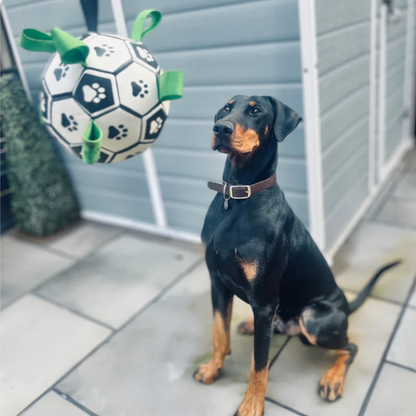 Pawsjoy Viral Doggie Ball