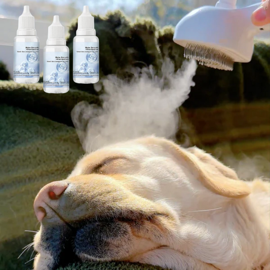 Shampoo Essence for Pet Steam Brush