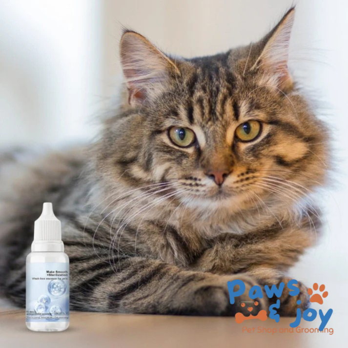 Shampoo Essence for Pet Steam Brush